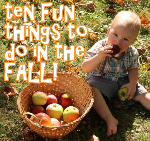 Ten Fun Things To Do in Fall