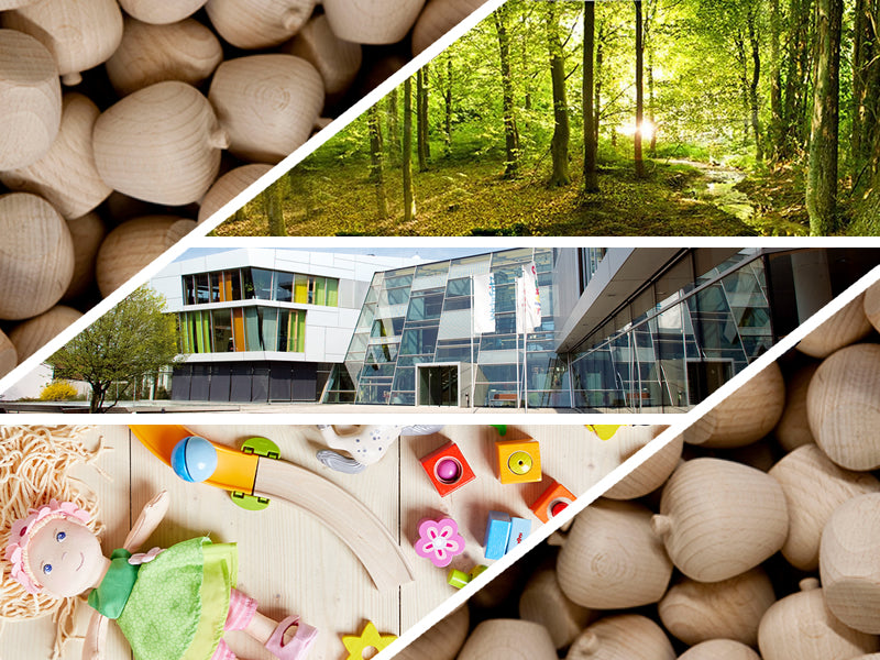 12 Things You May Not Know About HABA