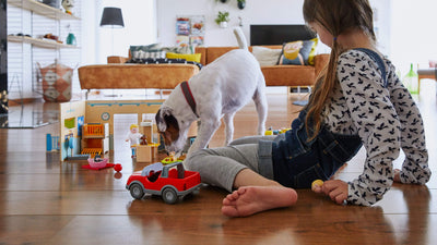 The Power of Animal Toys for Inspiring Empathy and Imagination