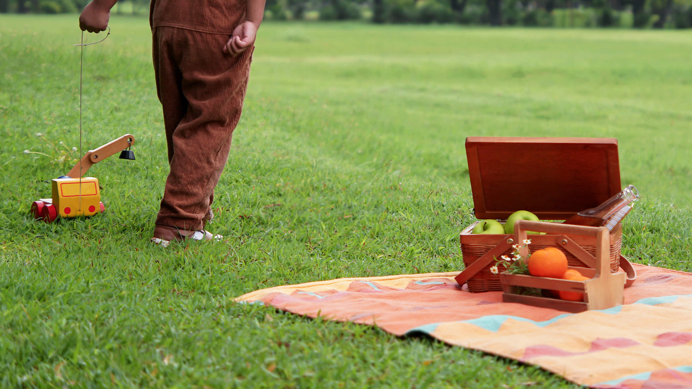 Toddler standing with back to camera playing with a wooden truck on grass at park with picnic basket of fruits and mat