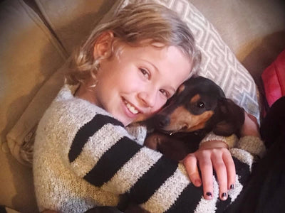 The Positives of Pet Ownership