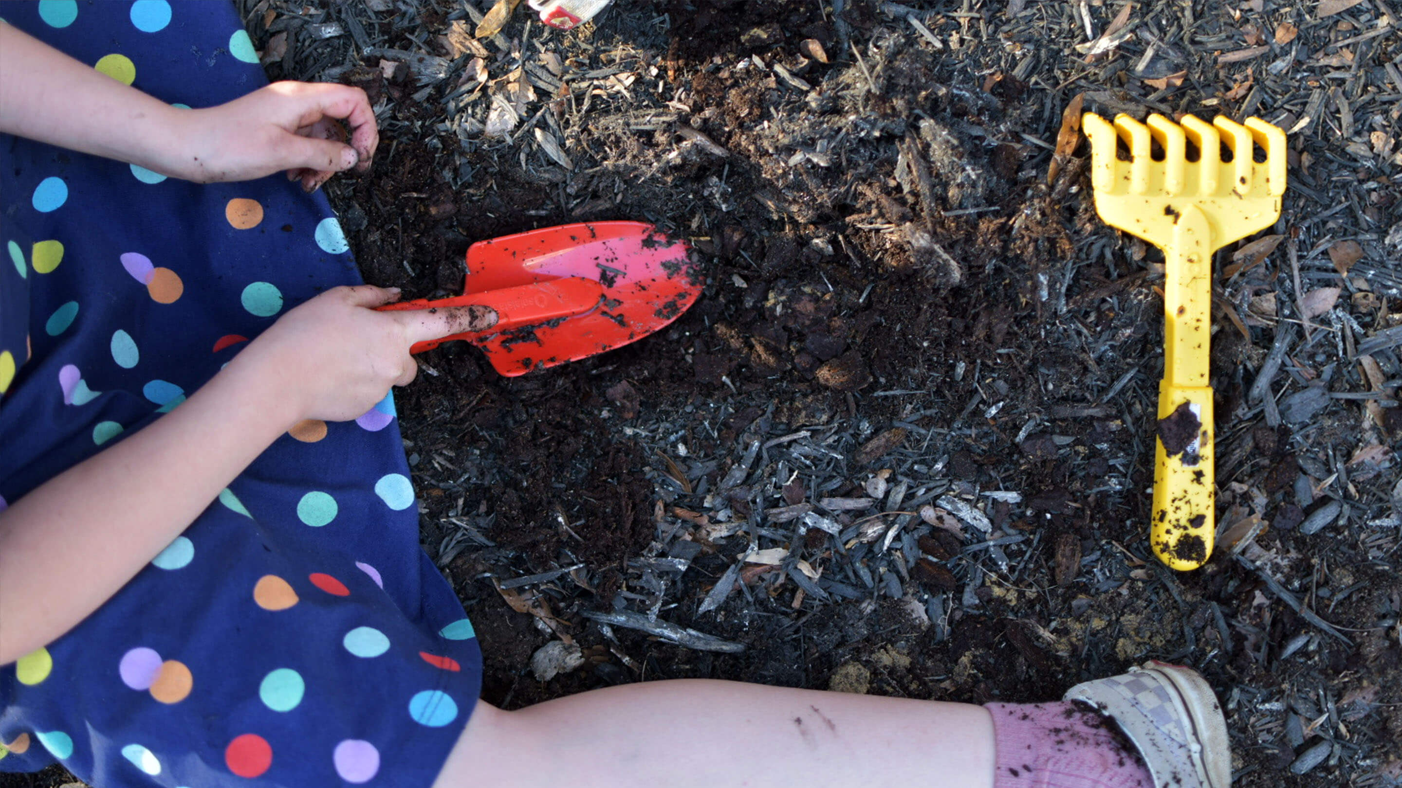 School Gardens: Outdoor Learning That Grows Through Play