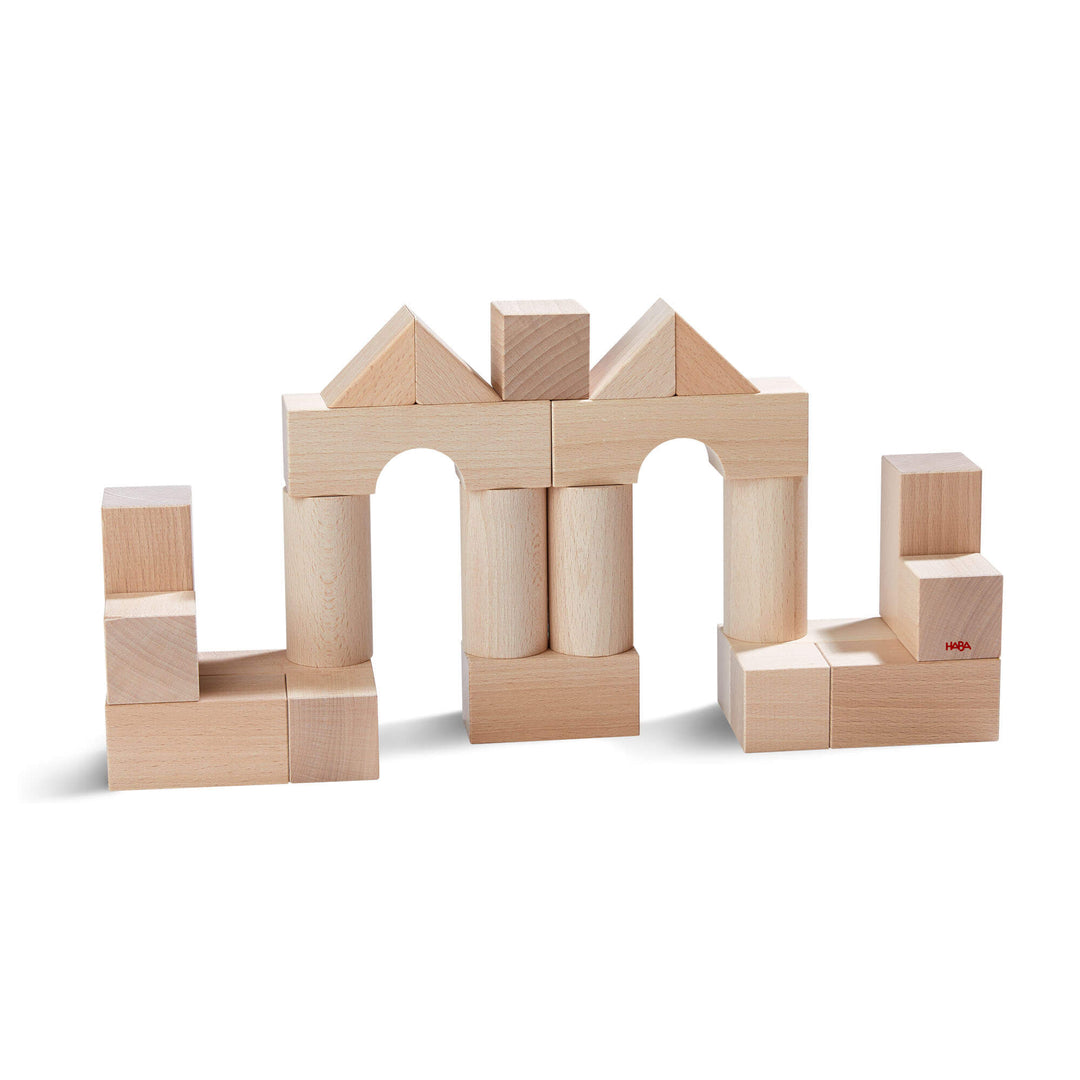 Basic Building Blocks 26 Piece Starter Set HABA USA