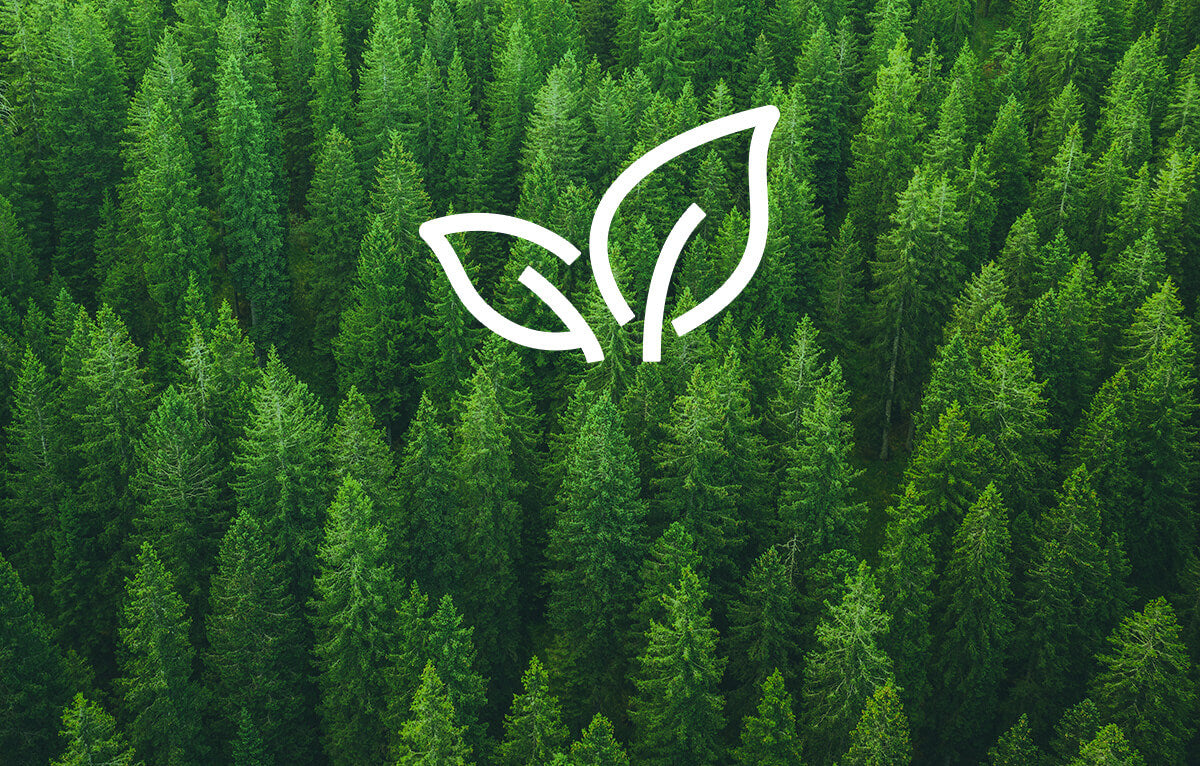 Birds eye view of a forest in a green tint with a white leaf icon