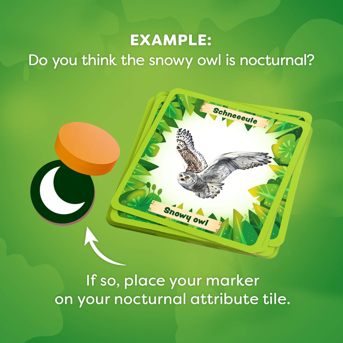 Animals Around the World Bingo components with snowy owl illustration on a green background reading "Example: Do you think the snowy owl is nocturnal? If so, place your marker on your nocturnal attribute tile."