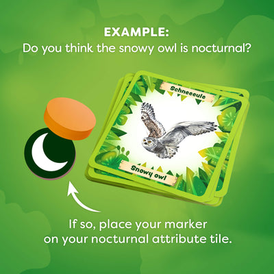 Animals Around the World Bingo components with snowy owl illustration on a green background reading "Example: Do you think the snowy owl is nocturnal? If so, place your marker on your nocturnal attribute tile."