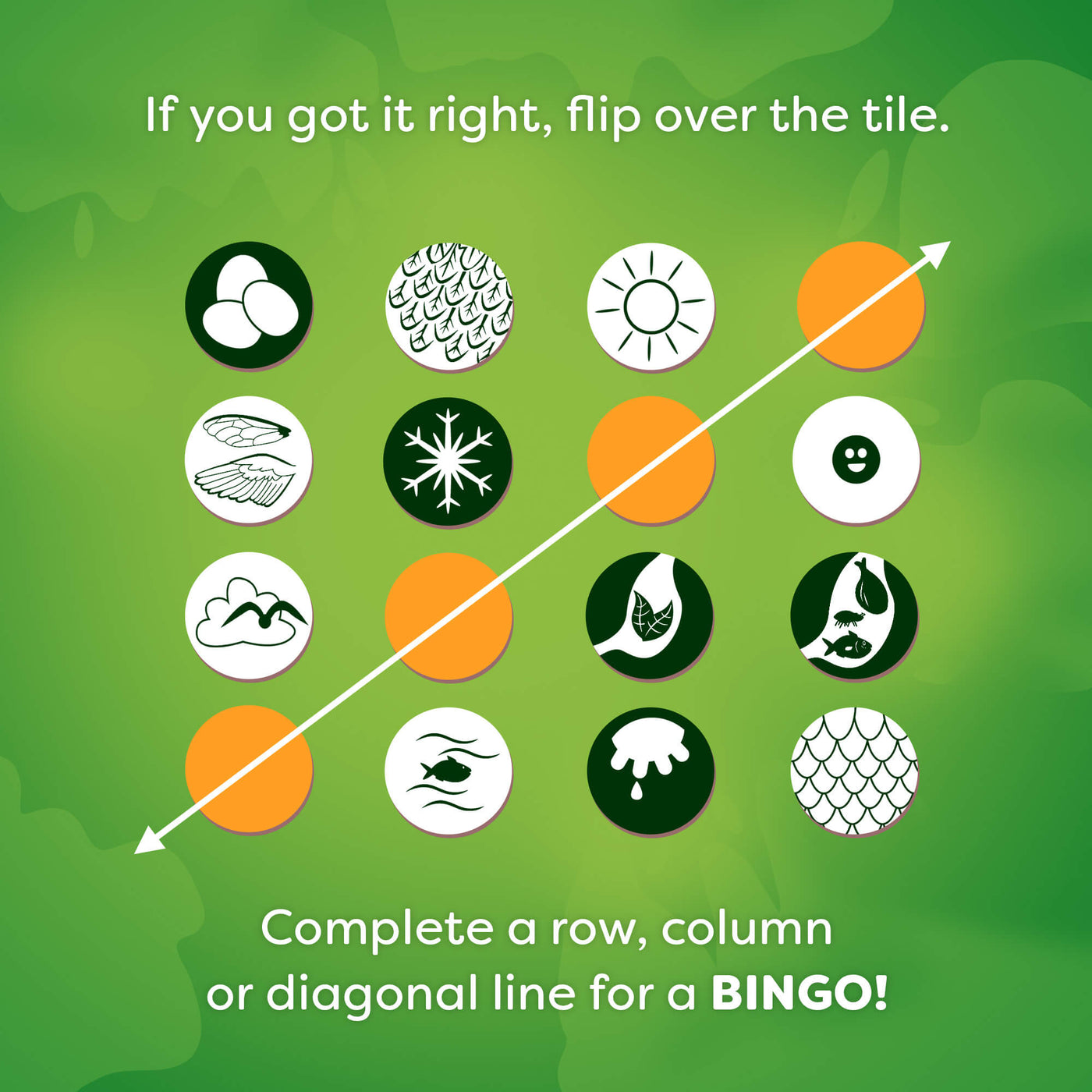 Animals Around the World Bingo attribute tiles on a green background, text reads "If you got it right, flip over the tile. Complete a row, column or diagonal line for a BINGO!"