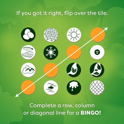 Animals Around the World Bingo attribute tiles on a green background, text reads "If you got it right, flip over the tile. Complete a row, column or diagonal line for a BINGO!"
