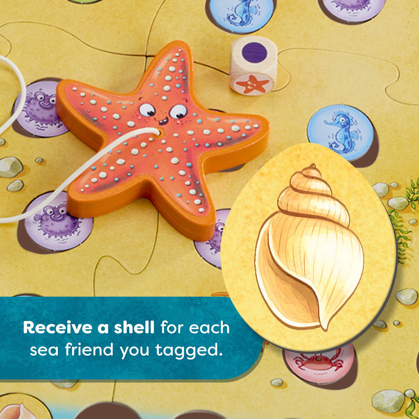 HABA Sebastian Seastar board game piece with a starfish and shell on a sandy background, text reads "Receive a shell for each sea friend you tagged.'