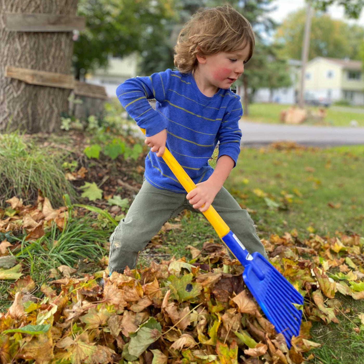 Child raking leaves with Spielstabil Leaf Rake