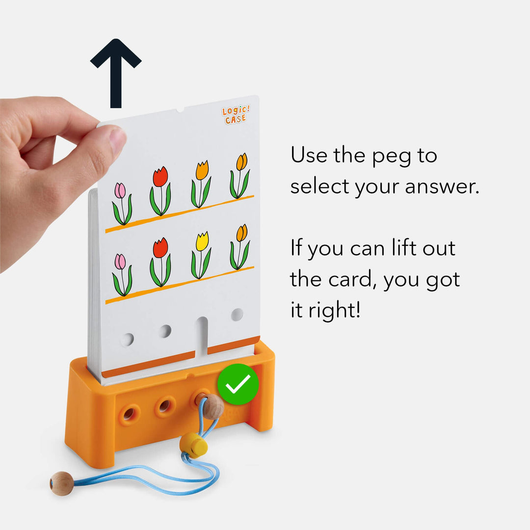 Logic! CASE Starter Set 4+– HABA USA