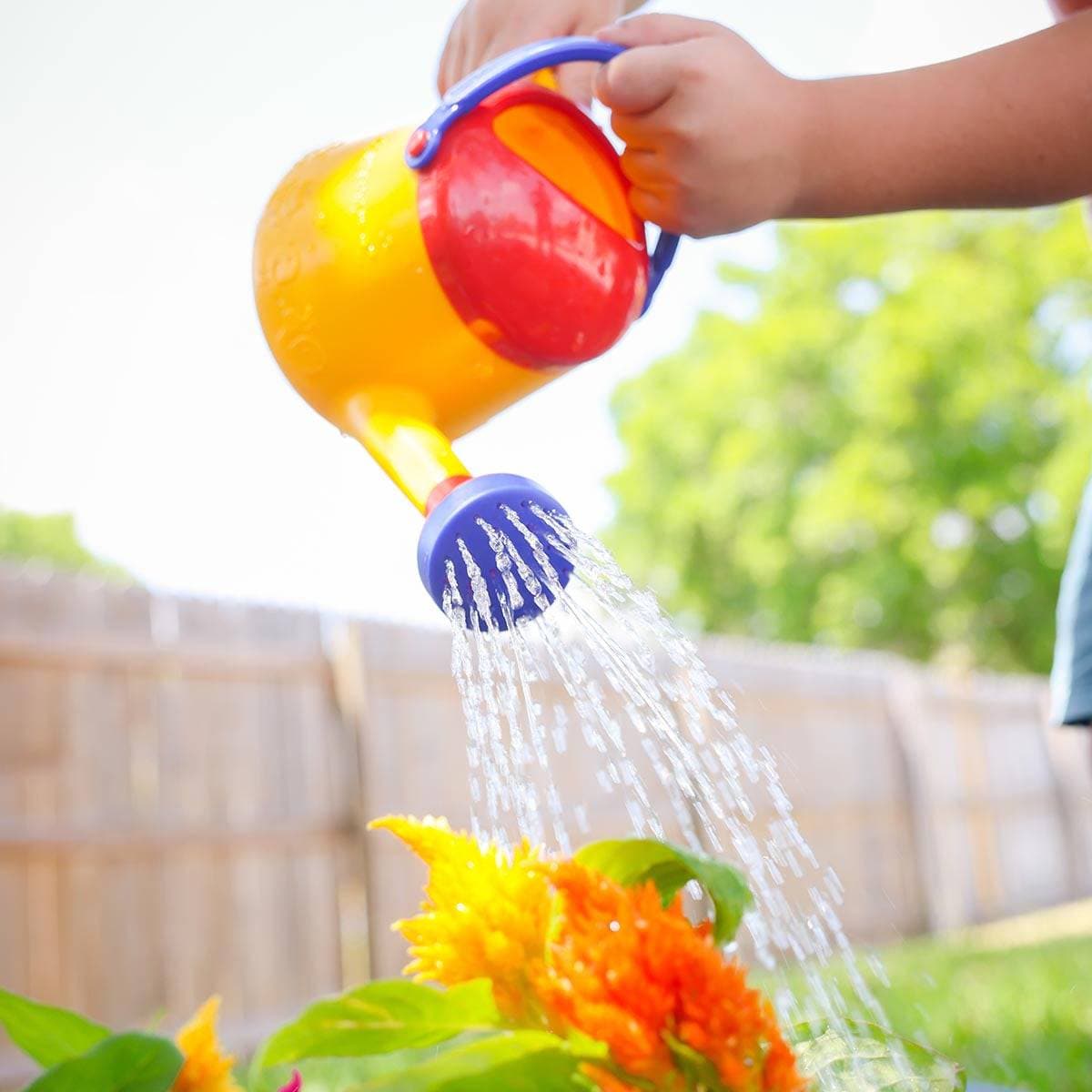 Watering Can (1 Liter) - HABA USA