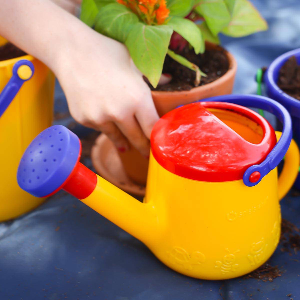 Watering Can (1 Liter) - HABA USA