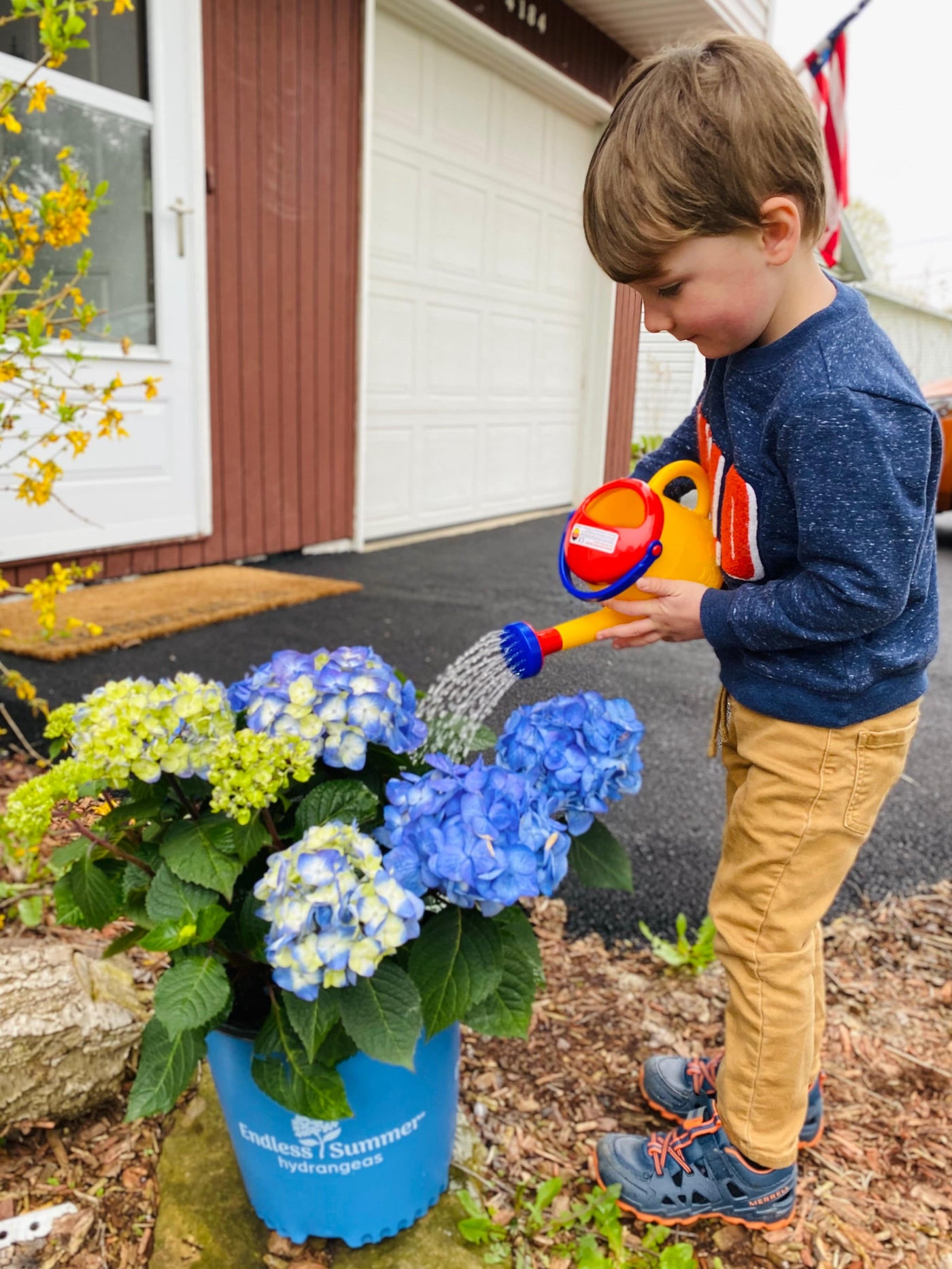 Watering Can (1 Liter) - HABA USA